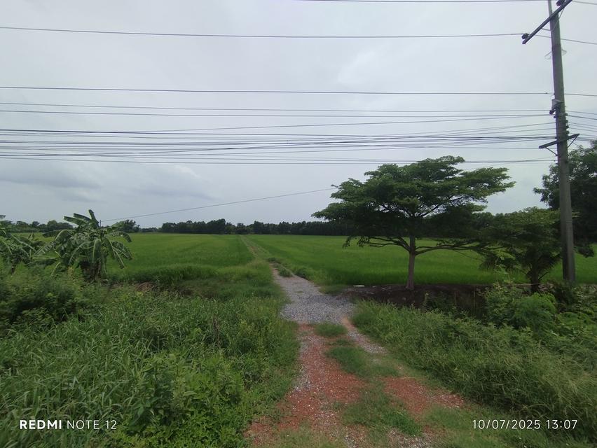 ที่ดินริมน้ำบางปะกง 30 ไร่เศษ ติดถนนใหญ่ + ติดแม่น้ำ วิวสวย ศักยภาพสูง เหมาะลงทุนรีสอร์ท พูลวิลล่า หรือโครงการท่องเที่ยวครบวงจร 11