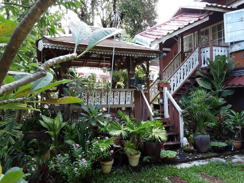 บ้านเดี่ยวเนื้อที่ 446 ตรว. ใจกลางเมือง เหมาะสำหรับลงทุน 16