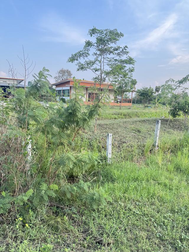 ที่ดินเปล่าพื้นที่ตำบลท่าพระ อำเภอเมือง ขอนแก่น 2