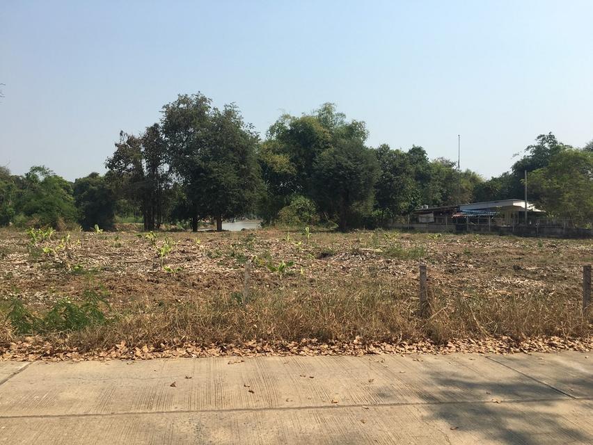 ขายที่ดินติดริมแม่น้ำท่าจีน 742 ตรว. 3