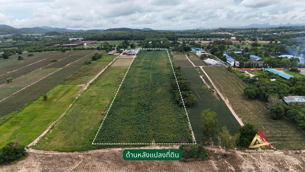 ที่ดิน นิคมพัฒนา ระยอง ทำเลทอง ทำเลอุตสาหกรรม สีม่วงลาย ใกล้ถนน 36  2