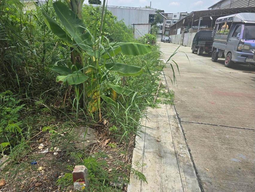ขายถูกที่ดินตลิ่งชัน 80 ตรว ติดถนนคอนกรีตสาธารณะ ถมแล้ว พุทธมณฑลสาย 3 ซอย 22 บางระมาด กรุงเทพฯ 5