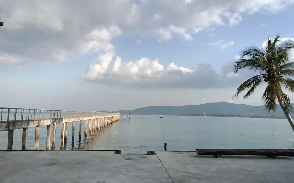 Land for rent and for sale 3