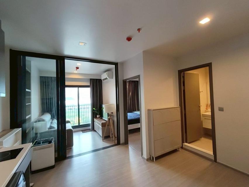 Life Asoke Hype for rent 3