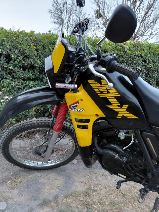 Honda MTX 125 รถคลาสสิคเครื่อง ญี่ปุ่น รูปย่อยที่ 3