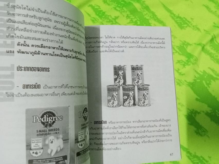 หนังสือคู่มือการเลี้ยง เชาเชา 6