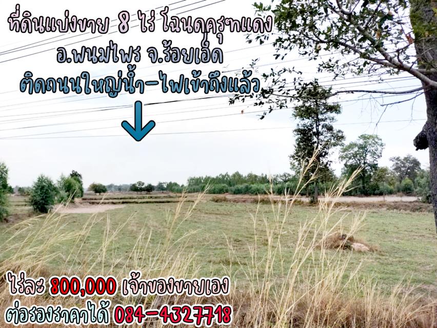 ที่ดินแบ่งขาย 8 ไร่ ราคาไร่ละ 800,000 พร้อมโฉนดครุฑแดง น้ำไฟผ่าน ติดถนนใหญ่ จ.ร้อยเอ็ด เจ้าของขายเอง ราคาต่อรองราคาได้ สนใจติดต่อ 084-4327718 7