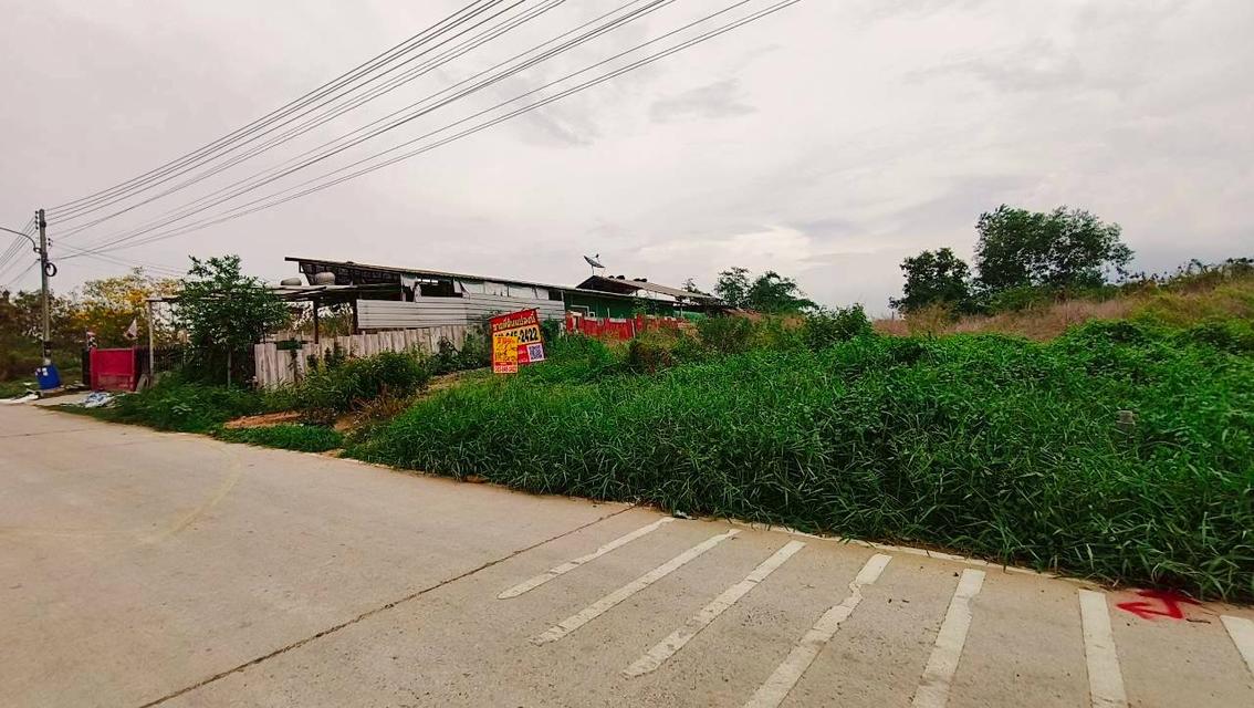 ขายที่ดิน200ตรว.คลองสาม 11/6 5