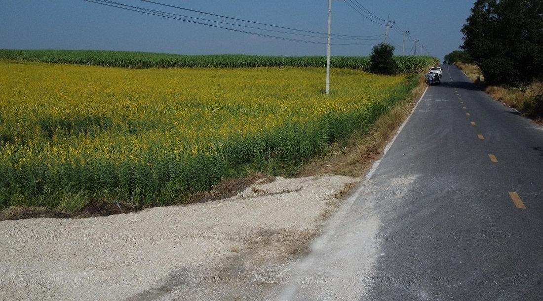 ขายที่ดินแก่งคอย สระบุรี วิวเขา โฉนดครุฑแดงพร้อมโอน ถนนโครงการกว้าง 8 เมตร ใกล้เขื่อนป่าสักชลสิทธิ์ 4