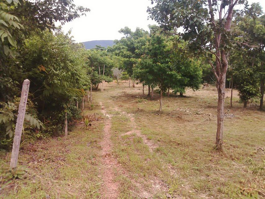Sale Land  near Beach on the lower hill with Chanote Chumphon 4