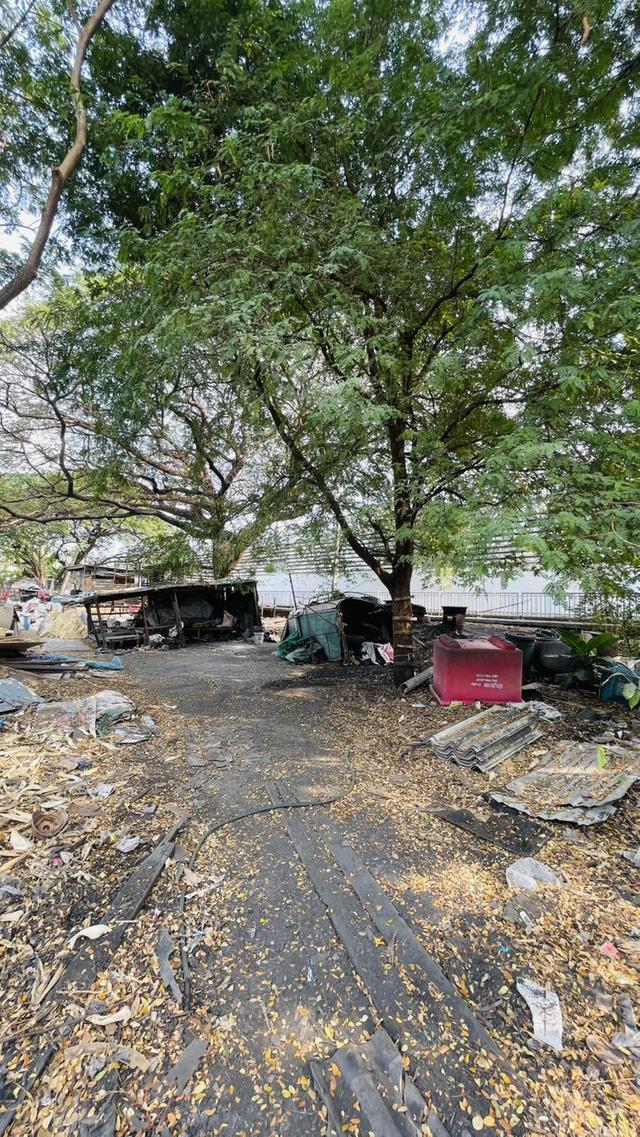 ขายที่ดินอ่อนนุช 46 ที่ถมเเล้ว ทำเลดี 4