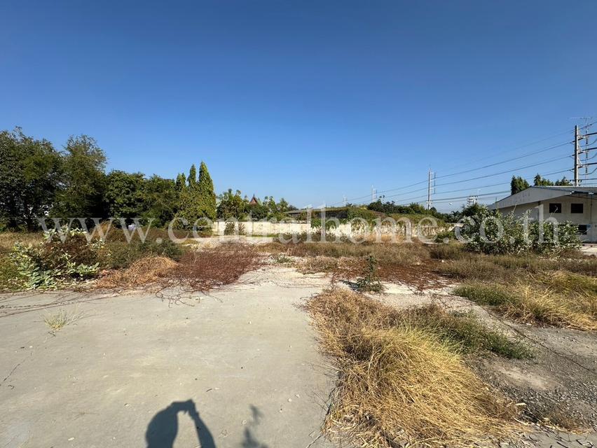 ที่ดินเปล่า ติดถนนแสงชูโต บ้านโป่ง ราชบุรี ราคาถูกมาก 7