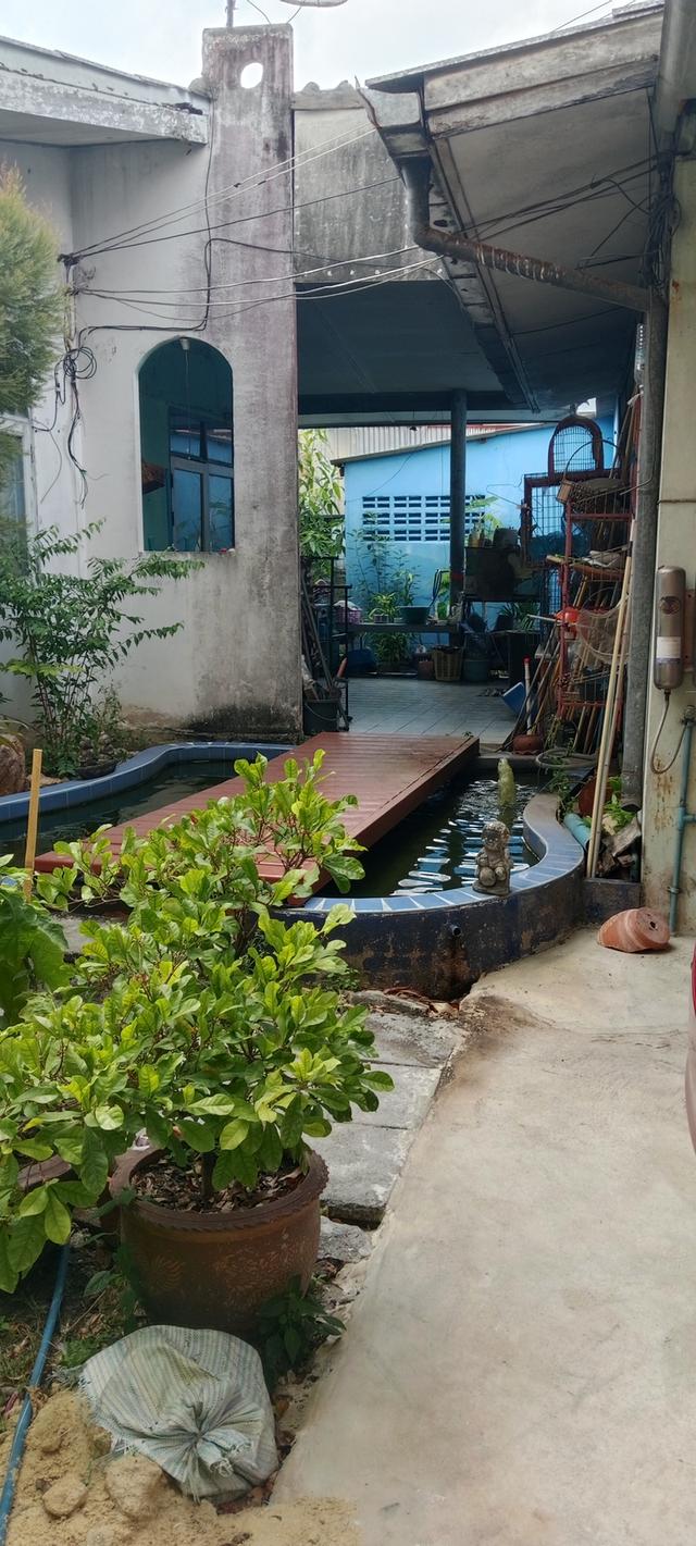 บ้าน2 หลัง พร้อมที่ดิน 106ตรว 5