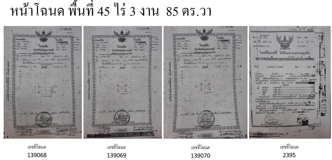 ที่ดินแปลงใหญ่ 45 ไร่เศษ ลำลูกกา คลอง 7 ติดถนน 4 เลน ทำเลทองสำหรับโครงการจัดสรรและอุตสาหกรรม 6