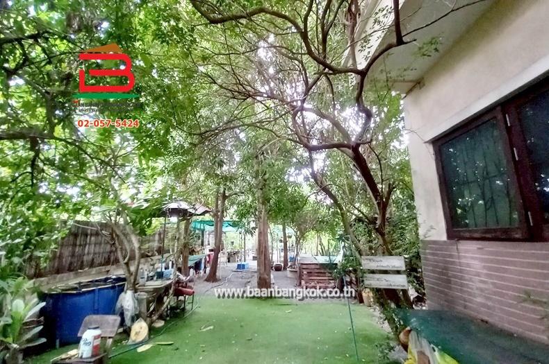 ที่ดินเปล่า ซอยนิมิตใหม่ 11 เนื้อที่ 100 ตรว. ถนนนิมิตใหม่ แขวงทรายกองดิน เขตคลองสามวา กรุงเทพมหานคร 7