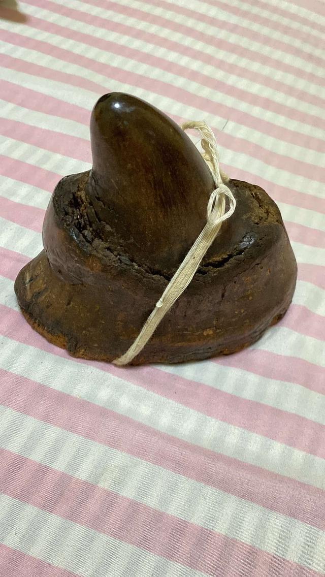 เครื่องราง หน่อแรด 