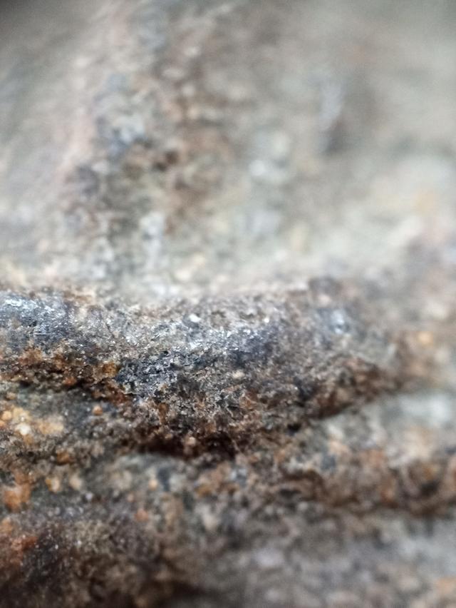 ปู่ทวดเนื้อว่าน 2497 5