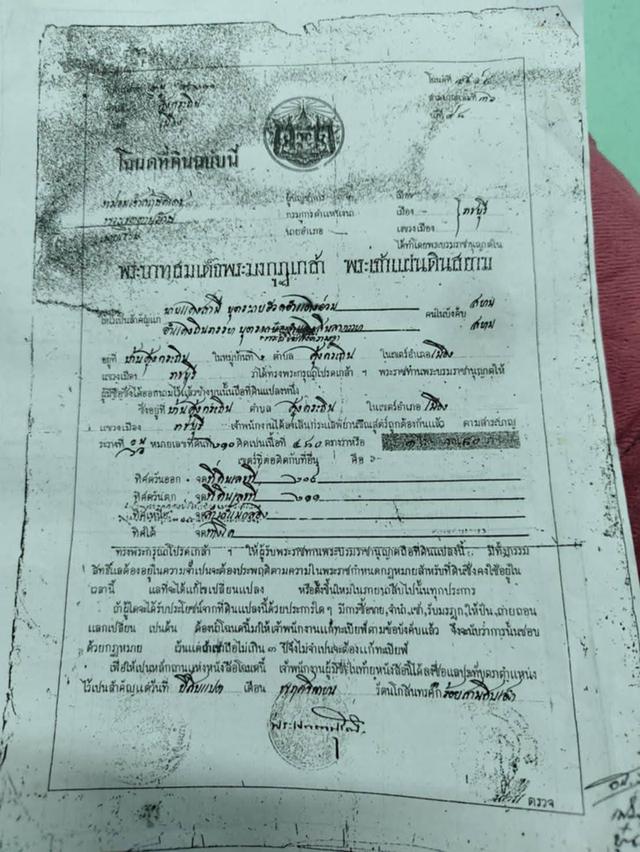 ที่ดินติดถนนติดริมแม่น้ำแม่กลอง 5