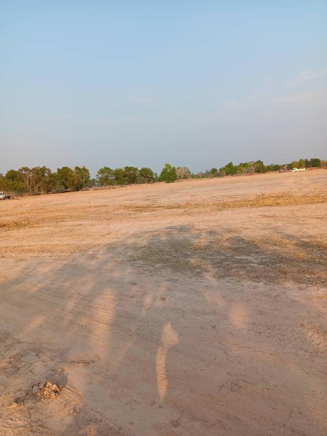 ที่ดิน 30 ไร่ ติดถนนเมืองพล หนองสองห้อง ถนนเจนจบทิศ ทางขึ้นลงทางด่วน มอเตอร์เวย์ M6 กรุงเทพ หนองคาย ที่ดินถมแล้ว 5 ปี พร้อมสร้างหมู่บ้าน 4