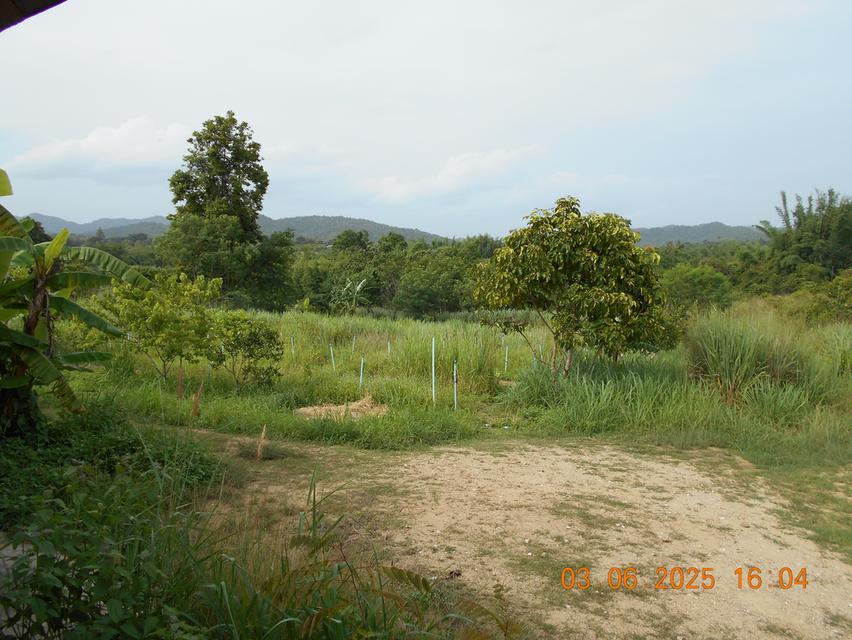 ขายที่ดิน 10 ไร่ พร้อมบ้าน ติดลำห้วย 3 สาย ต.บ้านบึง อ.บ้านคา จ.ราชบุรี 20
