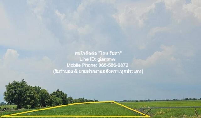 ที่ดิน ขายที่ดินทุ่งนาติดถนน ต.คลองเปร็ง อ.เมืองฉะเชิงเทรา 13-0-24.9 ไร่ 6.25 ล้านบาท area 5225 ตร.ว. 6250000 B. ใกล้ สถ 3