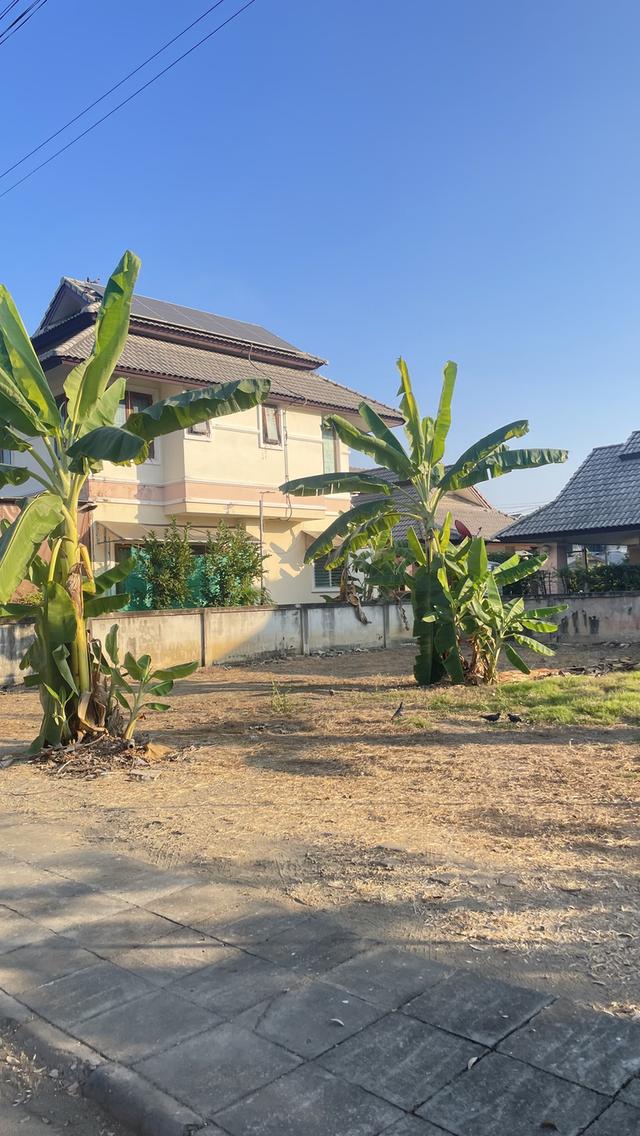 ที่ดินเปล่าโซนป่าแดด อ.เมือง จ.เชียงใหม่ ตัวเมือง เหมาะกับสร้างบ้านอยู่/เช่า/ทำกิจการ ผู้อยู่อาศัยเยอะมาก ร้านค้ามีเยอะเดินทางสะดวก 2