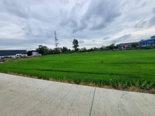 ขายที่ดินถมแล้ว เนื้อที่ 40 ไร่ เขต EEC สีม่วงจุดสีขาว ติดถนนสาธารณะ อ.เมืองฉะเชิงเทรา รถใหญ่เข้าสะดวก 5