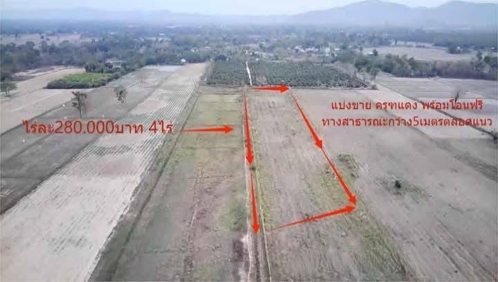 ขายที่ดิน ราชบุรี