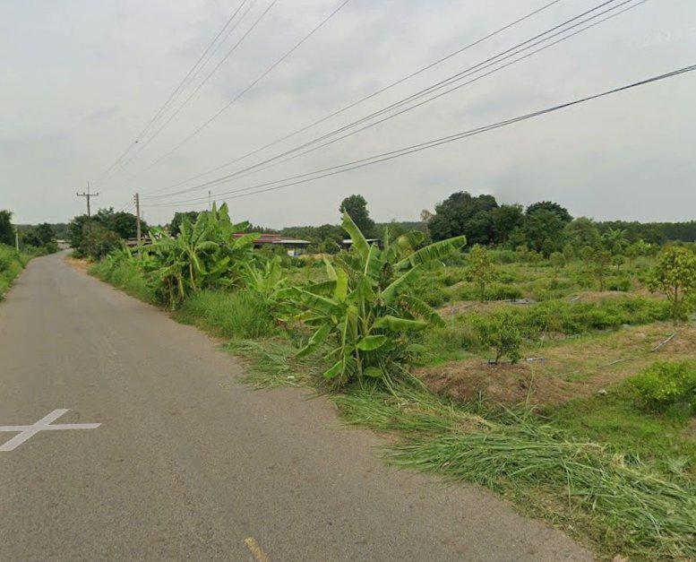 ขายที่ดินพร้อมสวนทุเรียนเนื้อที่ 2 ไร่ ติดถนน2ด้าน ใกล้นิคมเกตเวย์-11กม. อ.แปลงยาว ฉะเชิงเทรา 7