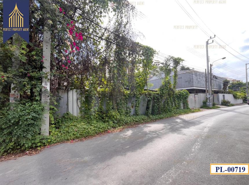 ขาย ที่ดิน 113 ตร.วา พระโขนงเหนือ วัฒนา ถนนสุขุมวิท 3