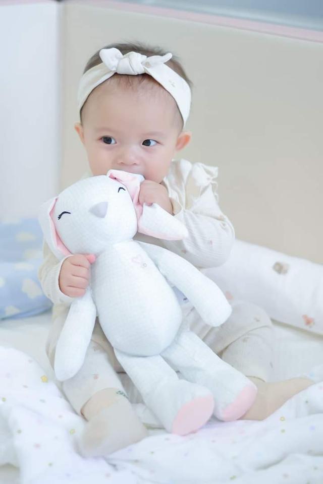 ขาย EVOLI Baby Huggable Bunny 3