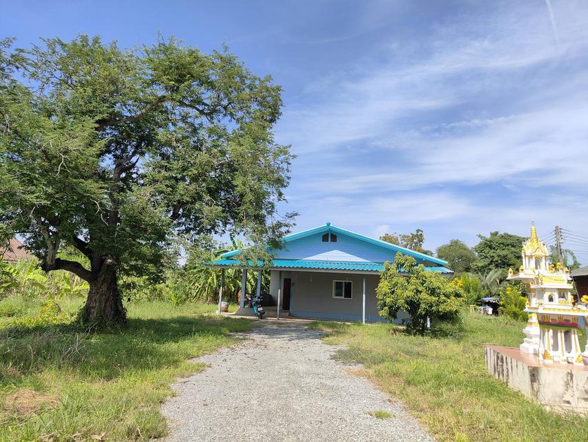 บ้านพร้อมที่ดินรวม1ไร่3งาน81ตรว. 2