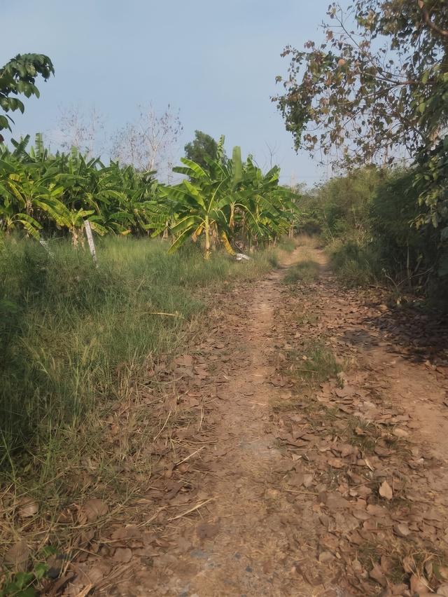 ที่ดิน 🏡 ขายที่ดินหนองจอก เนื้อที่ 2 ไร่ 0 งาน 01 ตร.ว. ใกล้สถานีตำรวจนครบาลประชาสำราญ 1