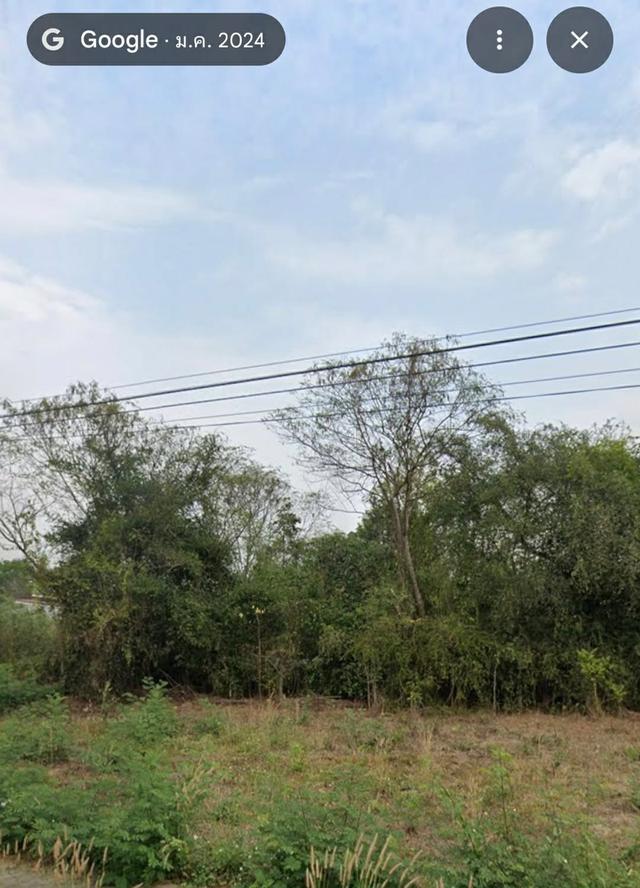 ที่ดินในหมู่บ้านธารวิว 2