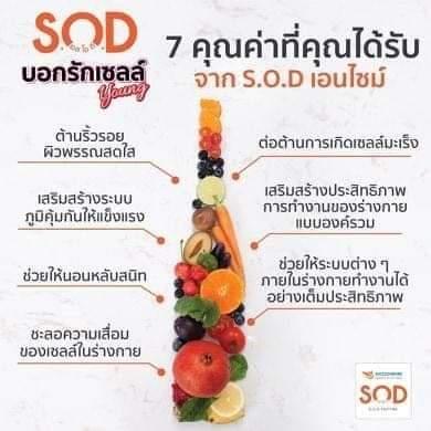 ขายเครื่องดื่มเพื่อสุขภาพ sod น้ำผักผลไม้ 125 ชนิดสารต้านอนุมูลอิสระ ช่วยเสริมสร้างระบบภูมิคุ้มกันให้แข็งแรง 1 กล่องมี 15 ซอง 5