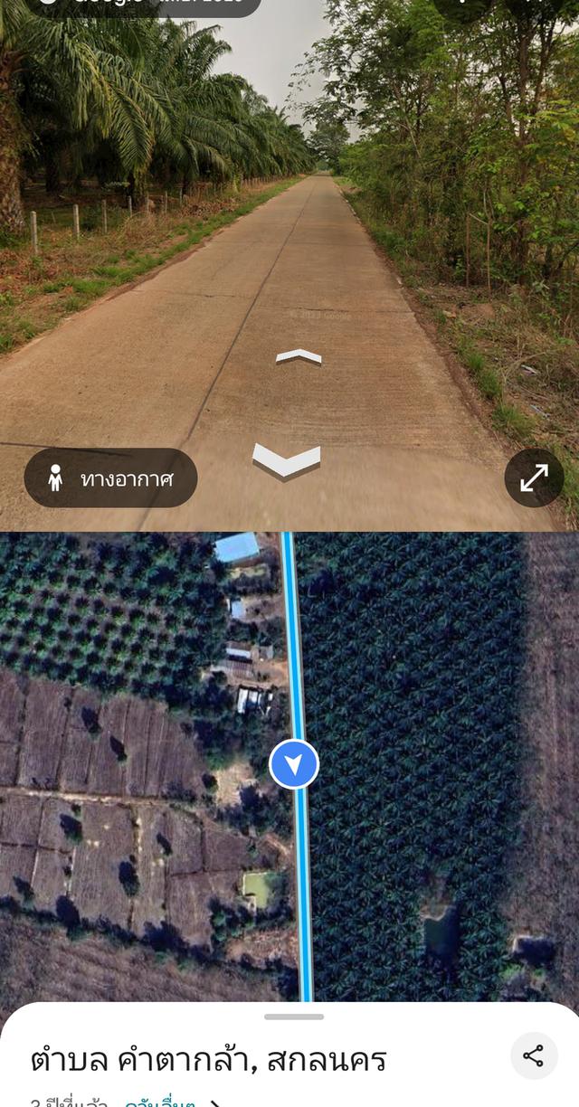 ที่ดินสวนยางพารา จำนวน 19 ไร่ จ.สกลนคร อ.คำตากล้า 2