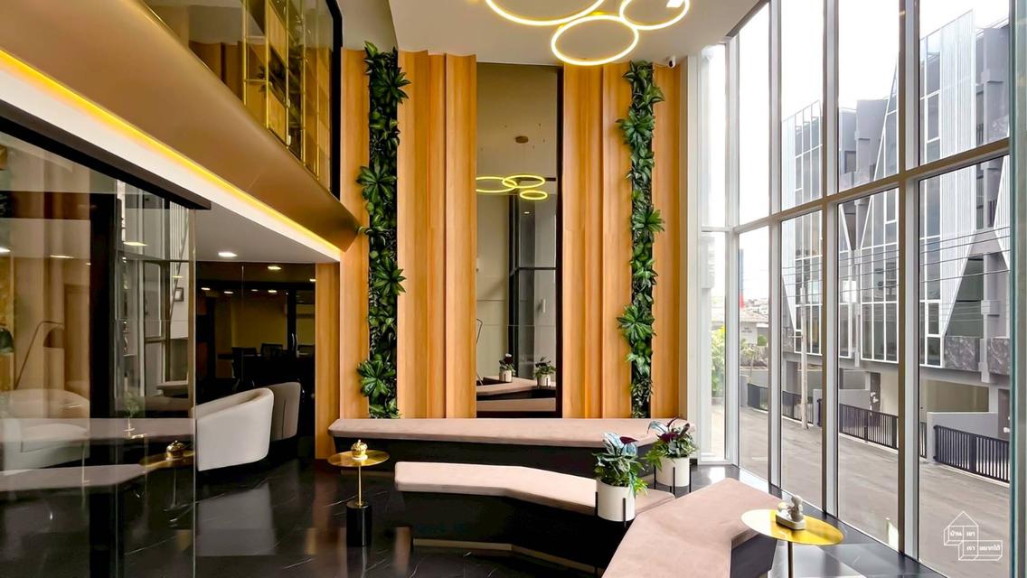 บ้าน ตึกแถว โฮมออฟฟิศ 2