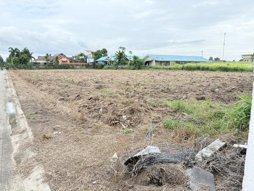 ขายที่ดินนิคมพัฒนา 1 ไร่ ซอย5จับบาง ใกล้BYDใกล้ถนนเส้น3375-250เมตร จ.ระยอง 2