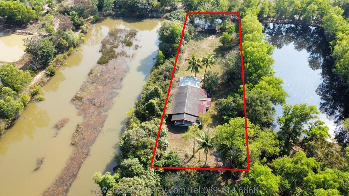 🔥 ขายด่วน! บ้านพร้อมที่ดิน พื้นที่ขนาดใหญ่ ใกล้เมือง จ.อุดรธานี (รหัส H1SS-491) 2