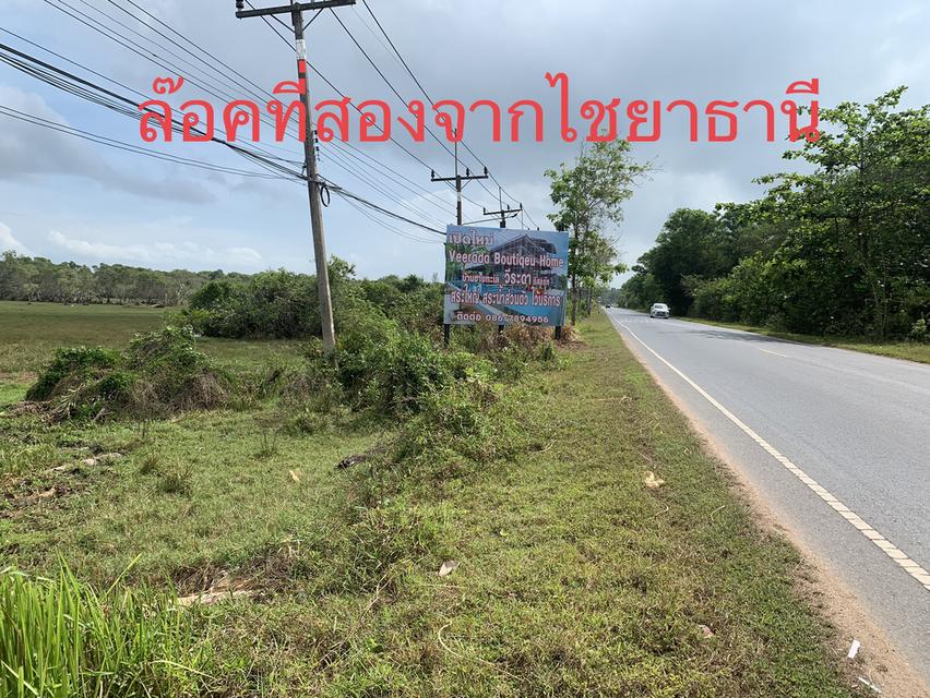 ขายที่ดินว่างเปล่าติดถนนใหญ่สายไชยา-พุมเรียง ใกล้ รร.พุทธนิคม 1