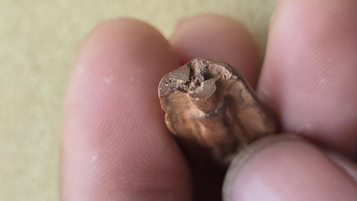 พระกำแพงยืนตอ กำแพงเพชร 6