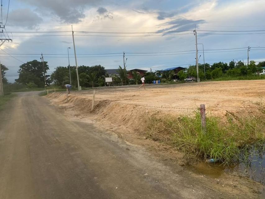 ขายที่ดินเปล่า ติดถนนใหญ่ 8
