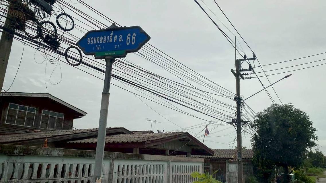 Vายถูกที่ดินคลองสี่ 200 ตารางวา ติดถนนคอนกรีต ซอย คลองสี่ตะวันออก 66 อ.คลองหลวง จ.ปทุมธานี 1