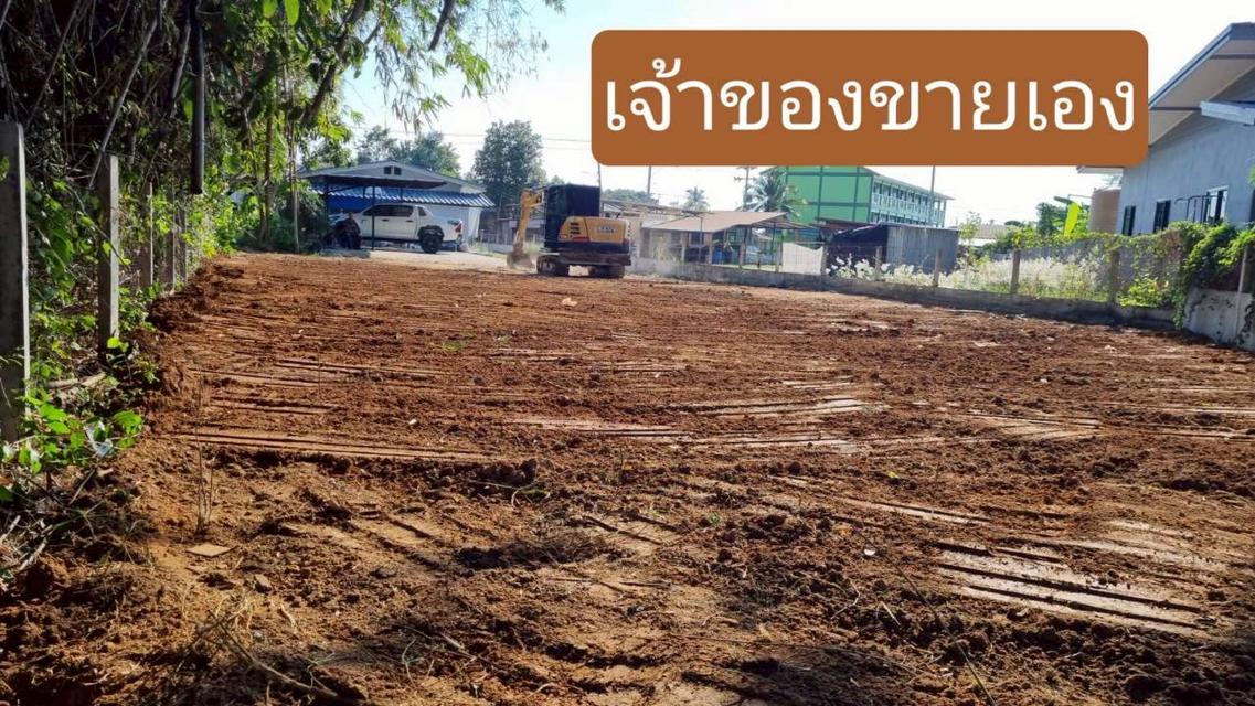 ขายที่ดินปล่าว80ตารางวา 4
