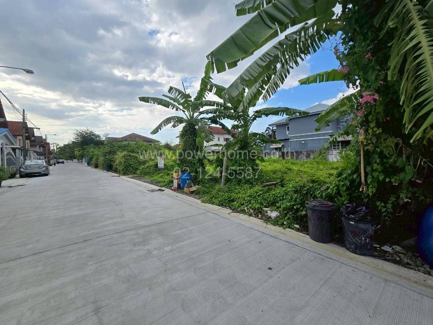 ที่ดินเปล่า หมู่บ้านอุทยานทอง ซอยแจ้งวัฒนะ-ปากเกร็ด 19 ถนนแจ้งวัฒนะ ต.ปากเกร็ด อ.ปากเกร็ด จ.นนทบุรี 5