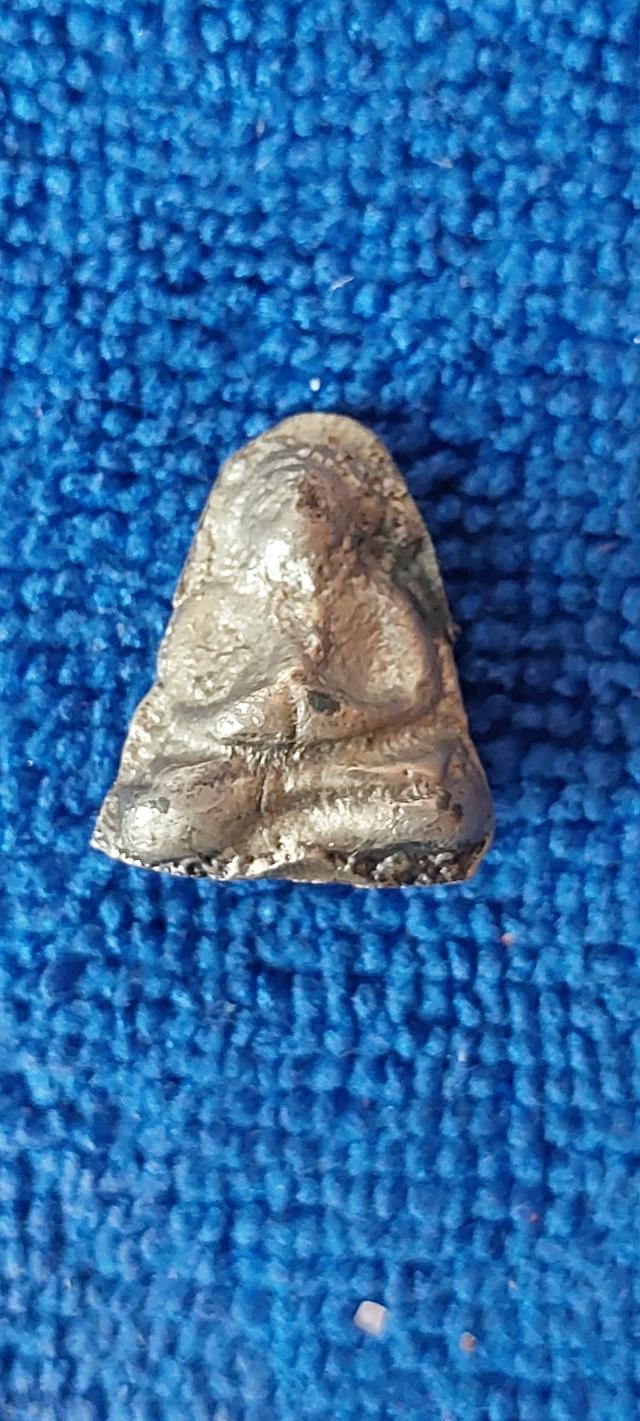 พระสังกัจจายน์ อาจารย์ดิษฐ์วัดปากสระพัทลุง