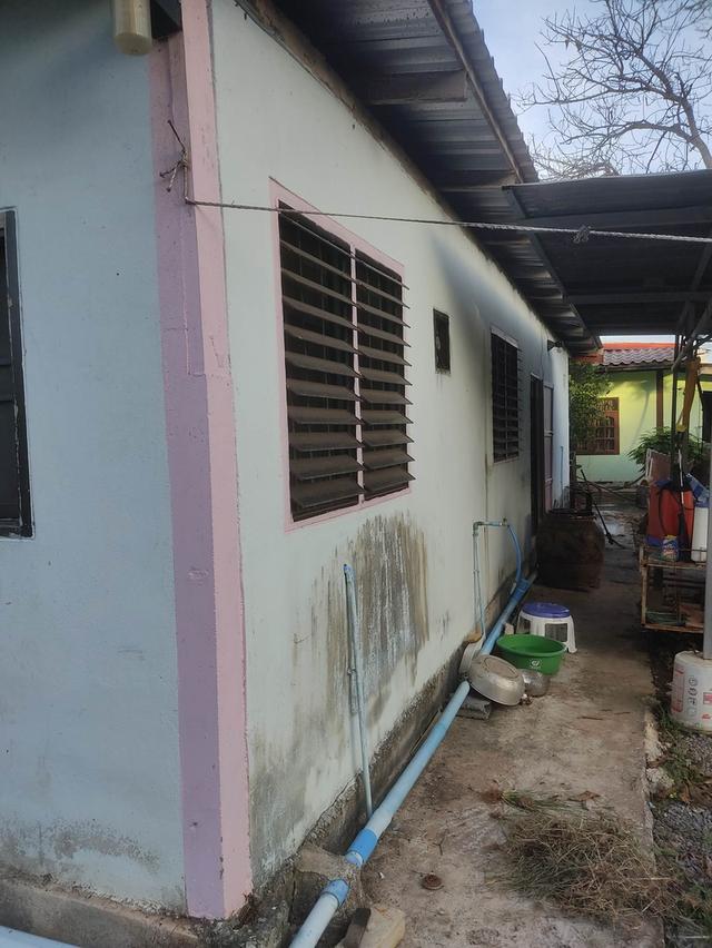 ขายบ้านพร้อมกิจการ ขนส่ง ถ่ายเอกสาร ฯลฯ และโรงสี บ้าน 3ห้องนอน 2 ห้องน้ำ ออฟฟิต ห้องโถง ครัว เป็นที่ดิน สองแปลง บ้าน 250ตารางวา โรงสี 275 ตารางวา ขาวร 7