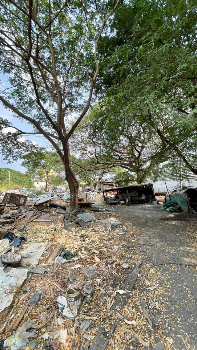 ขายที่ดินอ่อนนุช 46 ทำเลดี ถมเเล้ว 3
