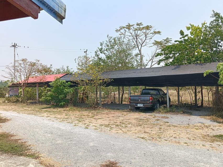 ขายด่วนบ้าน2หลังที่ดิน2ไร่เขตชุมชนติดถนนลาดยางน้ำไม่ท่วมไม่มีประวัติอยู่ไกล้ม. ราชมงคลสุวรรณภูมิสามชุกจ. สุพรรณขาย2. 55ล. สนใจ0894109810เจ้าของโดยตรง 18