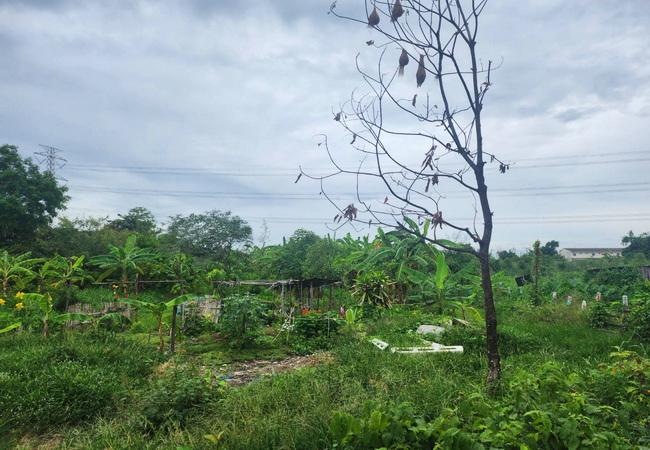 ขายที่ดิน หมู่บ้านนพวงศ์ ถนนปทุมธานี-บางเลน อำเภอลาดหลุมแก้ว ปทุมธานี 4